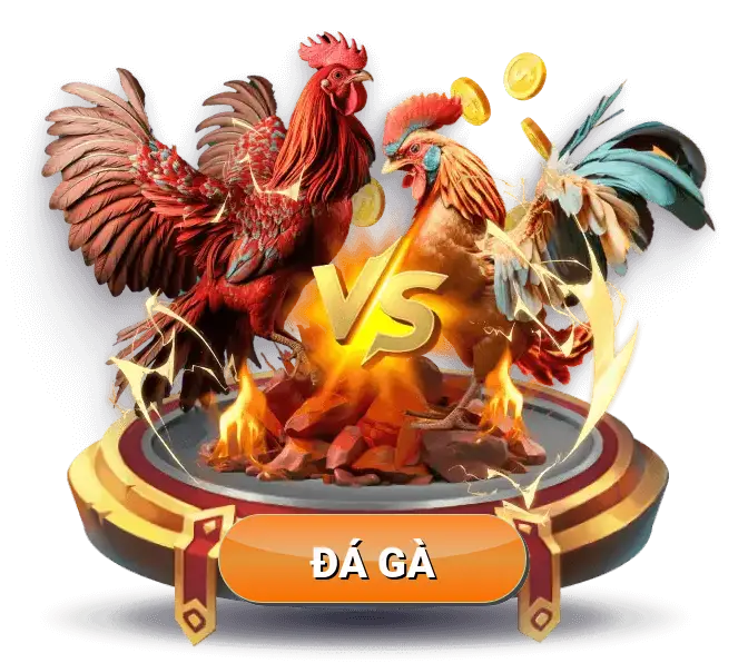td88-da-ga