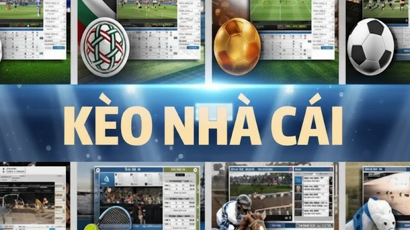 Giải mã kèo nhà cái TD88 trong cá cược bóng đá