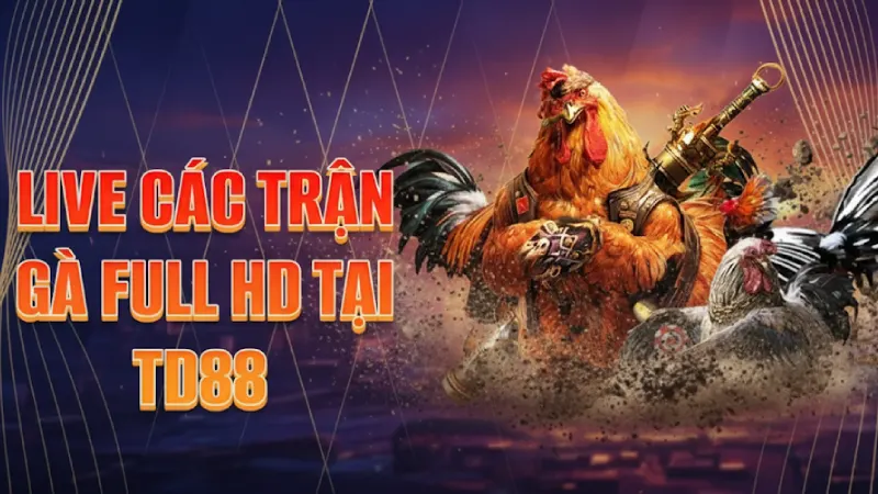 Giới thiệu về trận đá gà TD88 và sức hấp dẫn của bộ môn này
