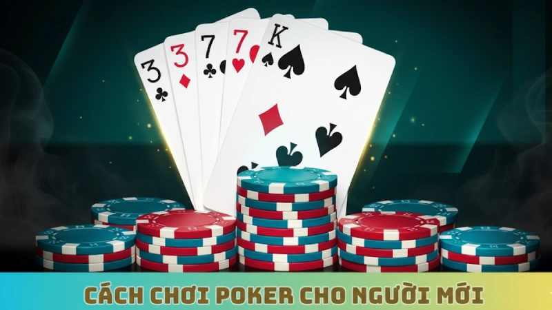 Cách chơi poker chuyên nghiệp dành cho người mới