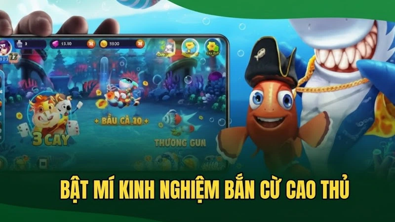 Cẩm Nang Kinh Nghiệm Bắn Cá Hiệu Quả Tối Ưu Nhất