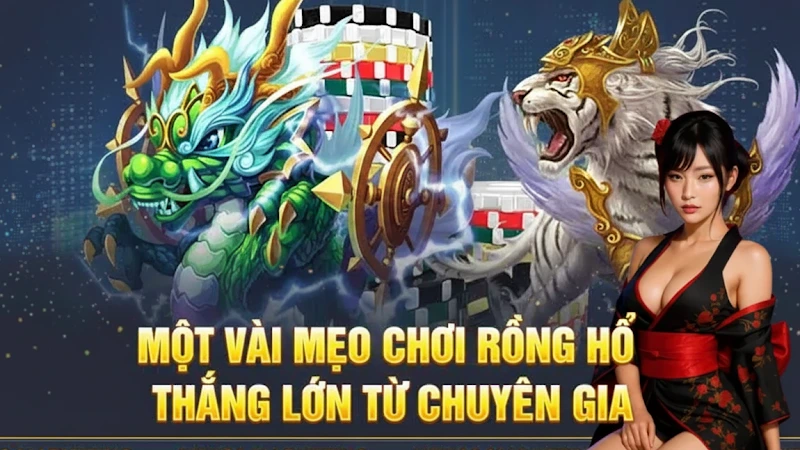 Mẹo chơi rồng hổ cực hay từ cao thủ 2025